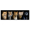 Xxl Wandbild Raubkatzen Panorama Produktvorschau Frontal