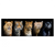 Xxl Wandbild Raubkatzen Panorama Produktvorschau Frontal