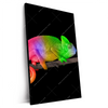 Xxl Wandbild Regenbogen Chamaeleon Hochformat Produktvorschau Seitlich