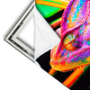 Xxl Wandbild Regenbogen Chamaeleon No 2 Hochformat Materialvorschau