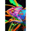 Xxl Wandbild Regenbogen Chamaeleon No 2 Hochformat Motivvorschau