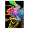 Xxl Wandbild Regenbogen Chamaeleon No 2 Hochformat Produktvorschau Frontal