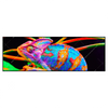 Xxl Wandbild Regenbogen Chamaeleon No 2 Panorama Produktvorschau Frontal