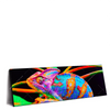 Xxl Wandbild Regenbogen Chamaeleon No 2 Panorama Produktvorschau Seitlich
