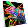 Xxl Wandbild Regenbogen Chamaeleon No 2 Quadrat Produktvorschau Seitlich