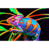 Xxl Wandbild Regenbogen Chamaeleon No 2 Querformat Motivvorschau