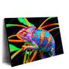 Xxl Wandbild Regenbogen Chamaeleon No 2 Querformat Produktvorschau Seitlich
