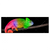 Xxl Wandbild Regenbogen Chamaeleon Panorama Produktvorschau Frontal