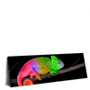 Xxl Wandbild Regenbogen Chamaeleon Panorama Produktvorschau Seitlich