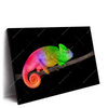 Xxl Wandbild Regenbogen Chamaeleon Querformat Produktvorschau Seitlich