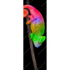 Xxl Wandbild Regenbogen Chamaeleon Schmal Motivvorschau