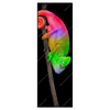 Xxl Wandbild Regenbogen Chamaeleon Schmal Produktvorschau Frontal
