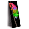 Xxl Wandbild Regenbogen Chamaeleon Schmal Produktvorschau Seitlich