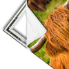 Xxl Wandbild Rind In Den Schottischen Highlands Hochformat Materialvorschau