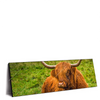 Xxl Wandbild Rind In Den Schottischen Highlands Panorama Produktvorschau Seitlich