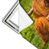 Xxl Wandbild Rind In Den Schottischen Highlands Quadrat Materialvorschau