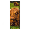Xxl Wandbild Rind In Den Schottischen Highlands Schmal Produktvorschau Frontal