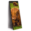 Xxl Wandbild Rind In Den Schottischen Highlands Schmal Produktvorschau Seitlich