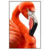 Xxl Wandbild Rosa Flamingo Hochformat Produktvorschau Frontal