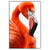 Xxl Wandbild Rosa Flamingo Hochformat Produktvorschau Frontal