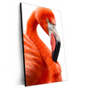 Xxl Wandbild Rosa Flamingo Hochformat Produktvorschau Seitlich