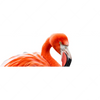 Xxl Wandbild Rosa Flamingo Panorama Motivvorschau