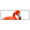 Xxl Wandbild Rosa Flamingo Panorama Produktvorschau Frontal
