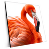 Xxl Wandbild Rosa Flamingo Quadrat Produktvorschau Seitlich