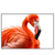 Xxl Wandbild Rosa Flamingo Querformat Produktvorschau Frontal