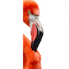 Xxl Wandbild Rosa Flamingo Schmal Motivvorschau