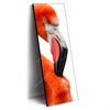 Xxl Wandbild Rosa Flamingo Schmal Produktvorschau Seitlich