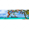 Xxl Wandbild Rote Blueten Und Tuerkisfarbenes Meer Panorama Motivvorschau