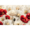 Xxl Wandbild Rote Und Weisse Mohnblumen Querformat Motivvorschau
