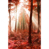 Xxl Wandbild Roter Herbstwald Hochformat Motivvorschau