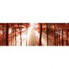 Xxl Wandbild Roter Herbstwald Panorama Motivvorschau