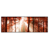 Xxl Wandbild Roter Herbstwald Panorama Produktvorschau Frontal