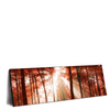 Xxl Wandbild Roter Herbstwald Panorama Produktvorschau Seitlich