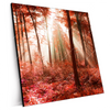 Xxl Wandbild Roter Herbstwald Quadrat Produktvorschau Seitlich