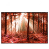 Xxl Wandbild Roter Herbstwald Querformat Produktvorschau Frontal