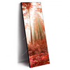 Xxl Wandbild Roter Herbstwald Schmal Produktvorschau Seitlich
