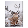 Xxl Wandbild Rothirsch Im Winter Hochformat Produktvorschau Frontal