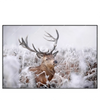 Xxl Wandbild Rothirsch Im Winter Querformat Produktvorschau Frontal