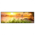 Xxl Wandbild Ruhiger Morgen Am See Panorama Produktvorschau Frontal