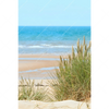 Xxl Wandbild Sandstrand Hochformat Motivvorschau