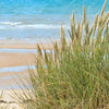 Xxl Wandbild Sandstrand Schmal Zoom