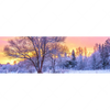Xxl Wandbild Schoene Winterlandschaft Panorama Motivvorschau
