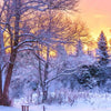 Xxl Wandbild Schoene Winterlandschaft Panorama Zoom