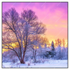 Xxl Wandbild Schoene Winterlandschaft Quadrat Produktvorschau Frontal