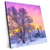 Xxl Wandbild Schoene Winterlandschaft Quadrat Produktvorschau Seitlich