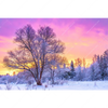 Xxl Wandbild Schoene Winterlandschaft Querformat Motivvorschau